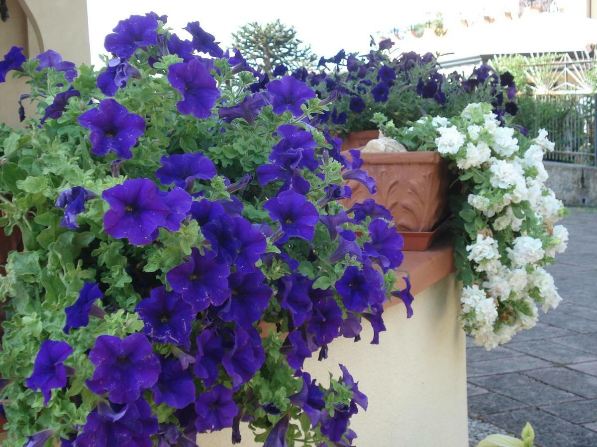 Globetrotter Bed and Breakfast Formia Buitenkant foto