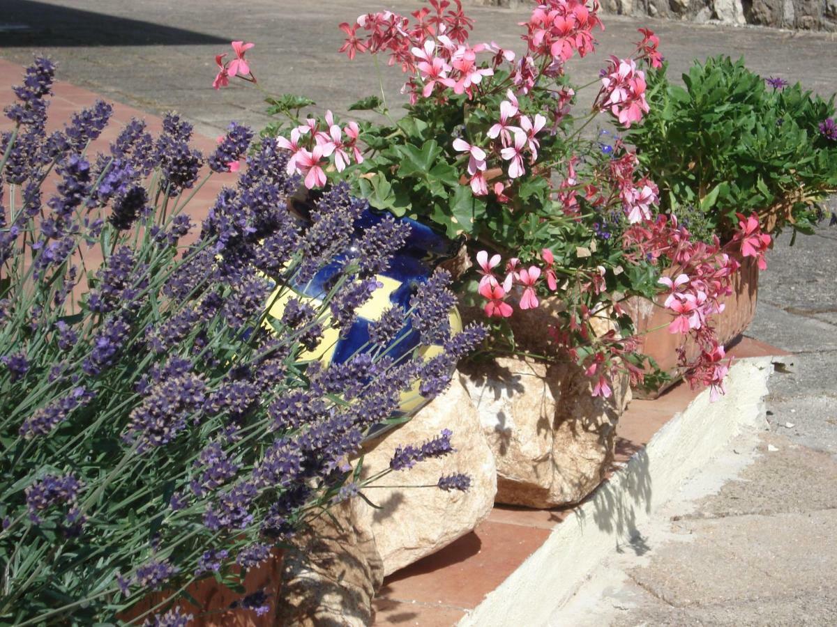 Globetrotter Bed and Breakfast Formia Buitenkant foto