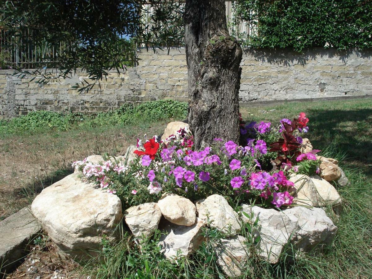 Globetrotter Bed and Breakfast Formia Buitenkant foto